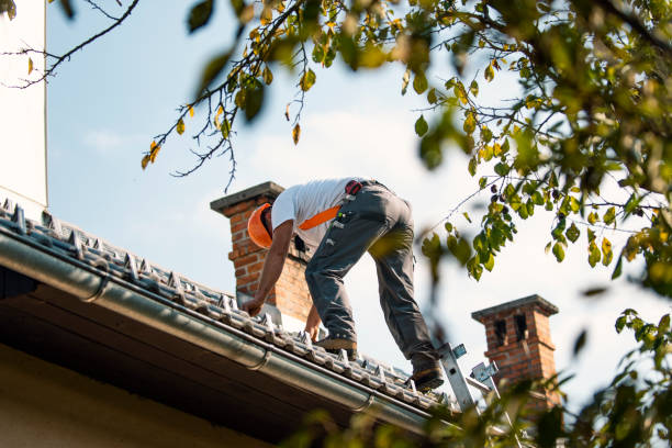 Roof Repair Estimates in Chicago, IL