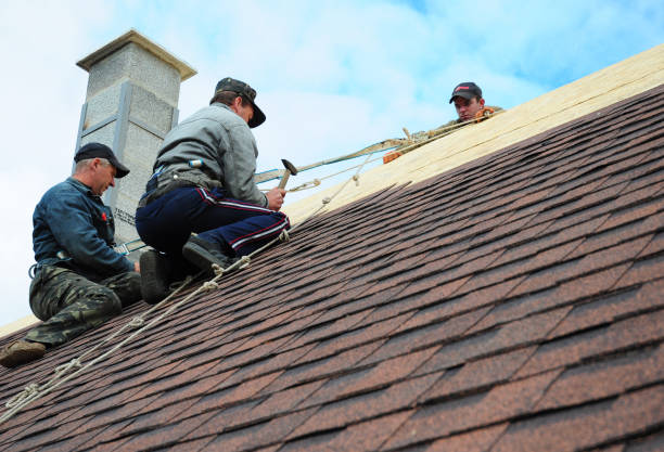 Best New Roof Installation  in Chicago, IL